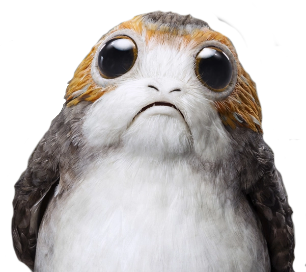 Ivan